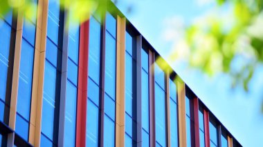 Çevre mimarisi. Yeşil ağaç ve cam ofis binası. Doğanın ve modernliğin ahengi.