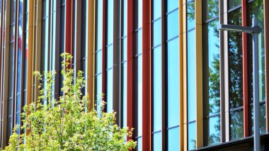 Çevre mimarisi. Yeşil ağaç ve cam ofis binası. Doğanın ve modernliğin ahengi.