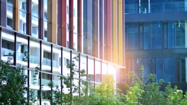 Çevre mimarisi. Yeşil ağaç ve cam ofis binası. Doğanın ve modernliğin ahengi.