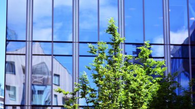 Çevre mimarisi. Yeşil ağaç ve cam ofis binası. Doğanın ve modernliğin ahengi.