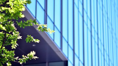 Çevre mimarisi. Yeşil ağaç ve cam ofis binası. Doğanın ve modernliğin ahengi.