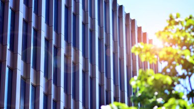 Çevre mimarisi. Yeşil ağaç ve cam ofis binası. Doğanın ve modernliğin ahengi.