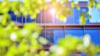 Çevre mimarisi. Yeşil ağaç ve cam ofis binası. Doğanın ve modernliğin ahengi.