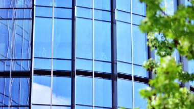 Çevre mimarisi. Yeşil ağaç ve cam ofis binası. Doğanın ve modernliğin ahengi.