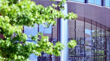 Çevre mimarisi. Yeşil ağaç ve cam ofis binası. Doğanın ve modernliğin ahengi.