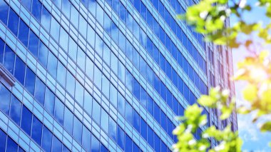 Çevre mimarisi. Yeşil ağaç ve cam ofis binası. Doğanın ve modernliğin ahengi.