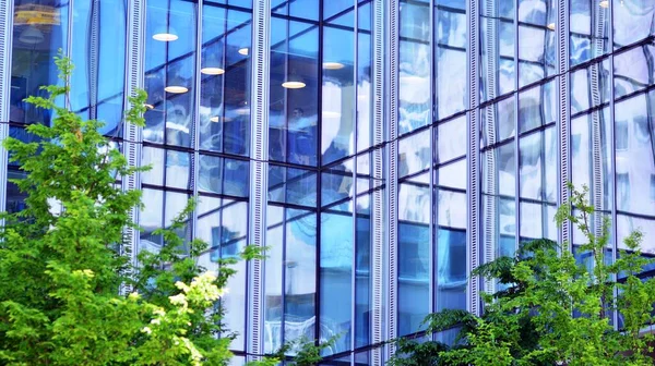 Öko Architektur Grüner Baum Und Gläsernes Bürogebäude Die Harmonie Von — Stockfoto