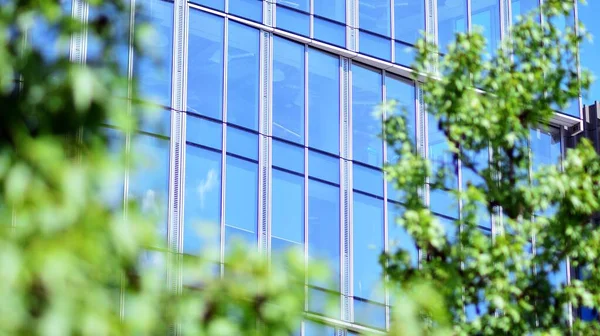 Çevre mimarisi. Yeşil ağaç ve cam ofis binası. Doğanın ve modernliğin ahengi.