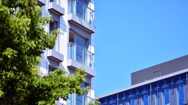 Çevre mimarisi. Yeşil ağaç ve apartman. Doğanın ve modernliğin ahengi.