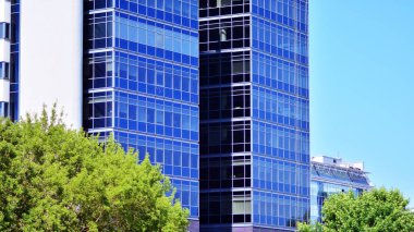 Çevre mimarisi. Yeşil ağaç ve cam ofis binası. Doğanın ve modernliğin ahengi.