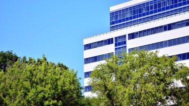 Çevre mimarisi. Yeşil ağaç ve cam ofis binası. Doğanın ve modernliğin ahengi.