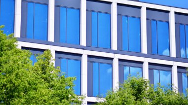 Çevre mimarisi. Yeşil ağaç ve cam ofis binası. Doğanın ve modernliğin ahengi.