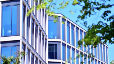 Çevre mimarisi. Yeşil ağaç ve cam ofis binası. Doğanın ve modernliğin ahengi.