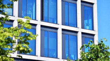 Çevre mimarisi. Yeşil ağaç ve cam ofis binası. Doğanın ve modernliğin ahengi.