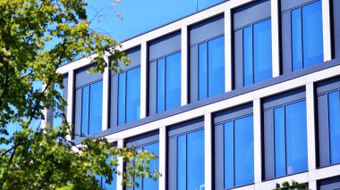 Çevre mimarisi. Yeşil ağaç ve cam ofis binası. Doğanın ve modernliğin ahengi.