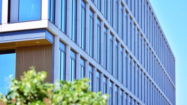 Çevre mimarisi. Yeşil ağaç ve cam ofis binası. Doğanın ve modernliğin ahengi.