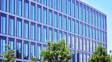 Çevre mimarisi. Yeşil ağaç ve cam ofis binası. Doğanın ve modernliğin ahengi.