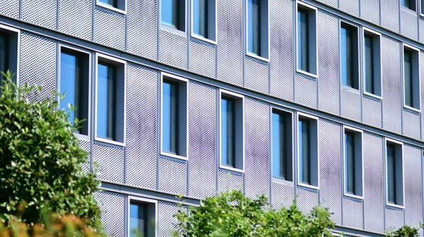 Эко Архитектура Зеленое Дерево Стеклянное Офисное Здание Гармония Природы Современности — стоковое фото