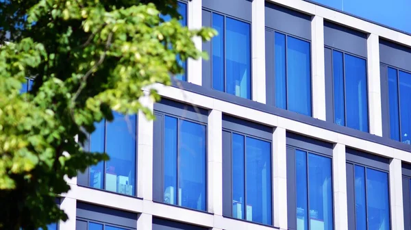 Öko Architektur Grüner Baum Und Gläsernes Bürogebäude Die Harmonie Von — Stockfoto