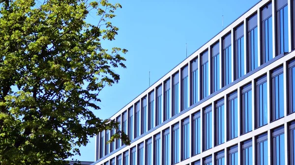 Eco Architecture Arbre Vert Immeuble Bureaux Verre Harmonie Nature Modernité — Photo