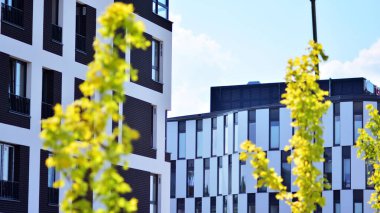 Çevre mimarisi. Yeşil ağaç ve apartman. Doğanın ve modernliğin ahengi.