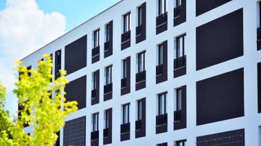 Çevre mimarisi. Yeşil ağaç ve apartman. Doğanın ve modernliğin ahengi.