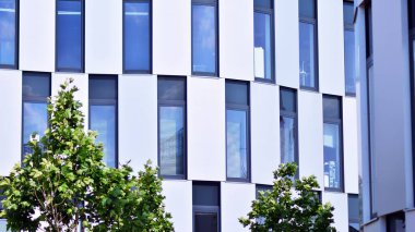 Çevre mimarisi. Yeşil ağaç ve cam ofis binası. Doğanın ve modernliğin ahengi.