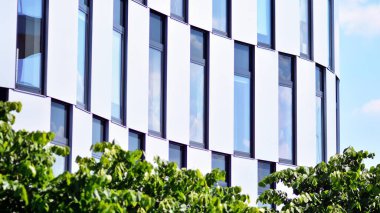 Çevre mimarisi. Yeşil ağaç ve cam ofis binası. Doğanın ve modernliğin ahengi.