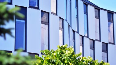 Çevre mimarisi. Yeşil ağaç ve cam ofis binası. Doğanın ve modernliğin ahengi.