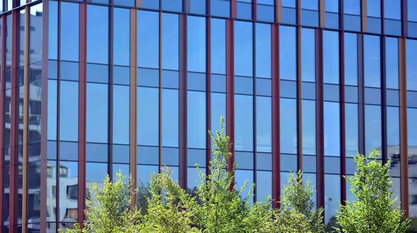 Çevre Mimarisi Yeşil Ağaç Cam Ofis Binası Doğanın Modernliğin Ahengi — Stok fotoğraf