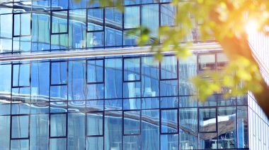 Çevre mimarisi. Yeşil ağaç ve cam ofis binası. Doğanın ve modernliğin ahengi. Modern ticari binanın yansıması güneş ışığıyla cam üzerine.. 