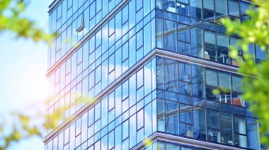 Çevre mimarisi. Yeşil ağaç ve cam ofis binası. Doğanın ve modernliğin ahengi. Modern ticari binanın yansıması güneş ışığıyla cam üzerine.. 