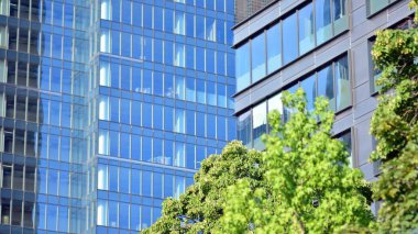 Çevre mimarisi. Yeşil ağaç ve cam ofis binası. Doğanın ve modernliğin ahengi.