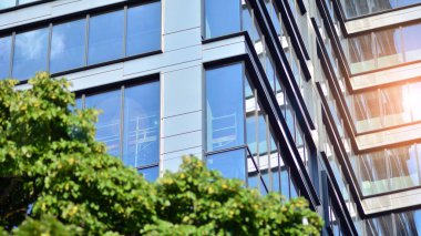 Çevre mimarisi. Yeşil ağaç ve cam ofis binası. Doğanın ve modernliğin ahengi. Modern ticari binanın yansıması güneş ışığıyla cam üzerine.. 