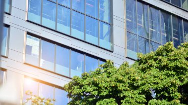 Çevre mimarisi. Yeşil ağaç ve cam ofis binası. Doğanın ve modernliğin ahengi. Modern ticari binanın yansıması güneş ışığıyla cam üzerine.. 