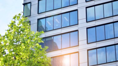 Çevre mimarisi. Yeşil ağaç ve cam ofis binası. Doğanın ve modernliğin ahengi. Modern ticari binanın yansıması güneş ışığıyla cam üzerine.. 