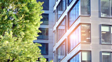 Çevre mimarisi. Yeşil ağaç ve cam ofis binası. Doğanın ve modernliğin ahengi. Modern ticari binanın yansıması güneş ışığıyla cam üzerine.. 