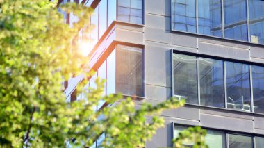 Çevre mimarisi. Yeşil ağaç ve cam ofis binası. Doğanın ve modernliğin ahengi. Modern ticari binanın yansıması güneş ışığıyla cam üzerine.. 