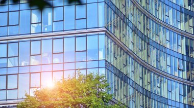 Çevre mimarisi. Yeşil ağaç ve cam ofis binası. Doğanın ve modernliğin ahengi. Modern ticari binanın yansıması güneş ışığıyla cam üzerine.. 