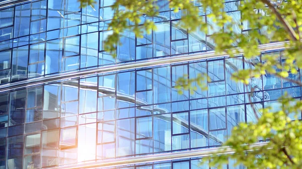 Eco architecture. Green tree and glass office building. The harmony of nature and modernity. Reflection of modern commercial building on glass with sunlight.