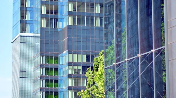 Arquitectura Ecológica Árbol Verde Edificio Oficinas Vidrio Armonía Naturaleza Modernidad — Foto de Stock