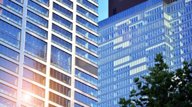 Çevre mimarisi. Yeşil ağaç ve cam ofis binası. Doğanın ve modernliğin ahengi. Modern ticari binanın yansıması güneş ışığıyla cam üzerine.. 