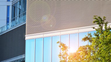 Çevre mimarisi. Yeşil ağaç ve cam ofis binası. Doğanın ve modernliğin ahengi. Modern ticari binanın yansıması güneş ışığıyla cam üzerine.. 