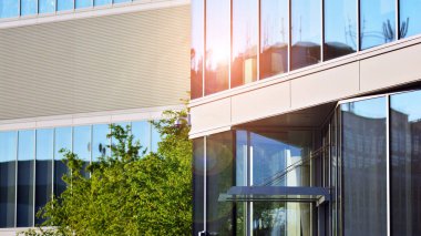 Çevre mimarisi. Yeşil ağaç ve cam ofis binası. Doğanın ve modernliğin ahengi. Modern ticari binanın yansıması güneş ışığıyla cam üzerine.. 