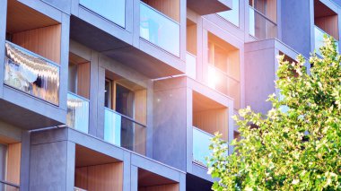 Çevre mimarisi. Yeşil ağaç ve apartman. Doğanın ve modernliğin ahengi.