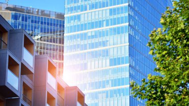 Çevre mimarisi. Yeşil ağaç ve cam ofis binası. Doğanın ve modernliğin ahengi. Modern ticari binanın yansıması güneş ışığıyla cam üzerine.. 