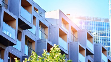 Çevre mimarisi. Yeşil ağaç ve apartman. Doğanın ve modernliğin ahengi.