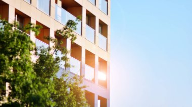 Çevre mimarisi. Yeşil ağaç ve apartman. Doğanın ve modernliğin ahengi.