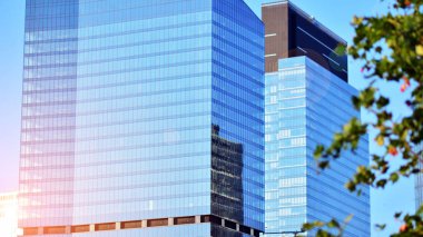 Çevre mimarisi. Yeşil ağaç ve cam ofis binası. Doğanın ve modernliğin ahengi. Modern ticari binanın yansıması güneş ışığıyla cam üzerine.. 