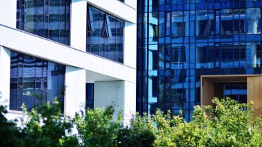 Çevre mimarisi. Yeşil ağaç ve cam ofis binası. Doğanın ve modernliğin ahengi. Modern ticari binanın yansıması güneş ışığıyla cam üzerine.. 